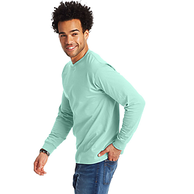 Hanes Long Sleeve Beefy-T 100%