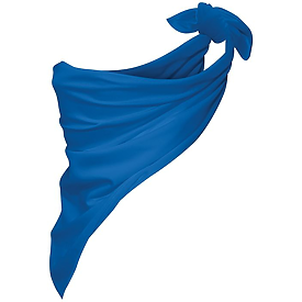 Augusta Polyester Bandana