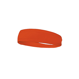 Badger Sportswear Headband