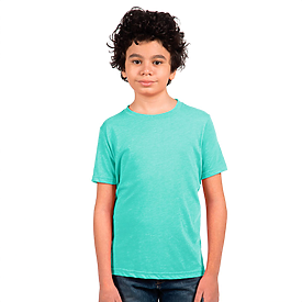 Next Level 4.3oz Youth Triblend Crew T