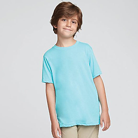 Next Level 4.3oz Boys Triblend Crew T